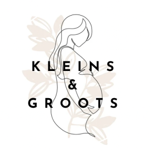 Kleins & groots Techum, Leeuwarden